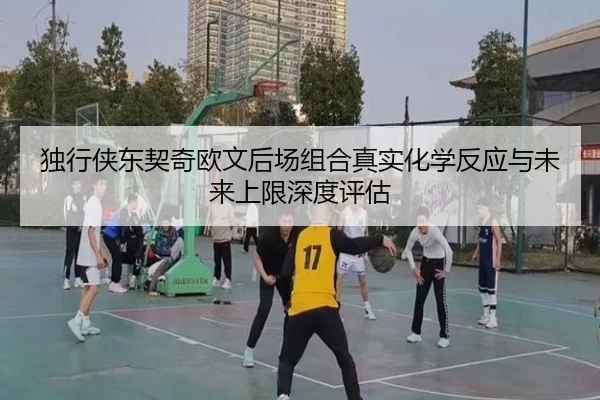 独行侠东契奇欧文后场组合真实化学反应与未来上限深度评估